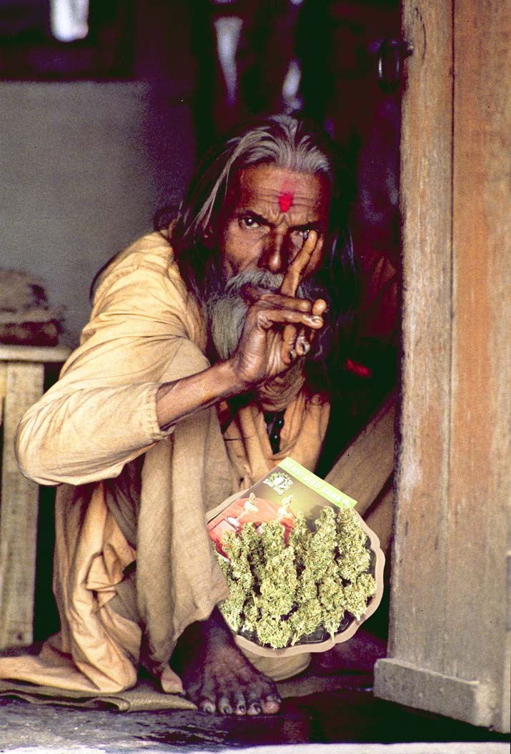 sensi_catalogue_in_india