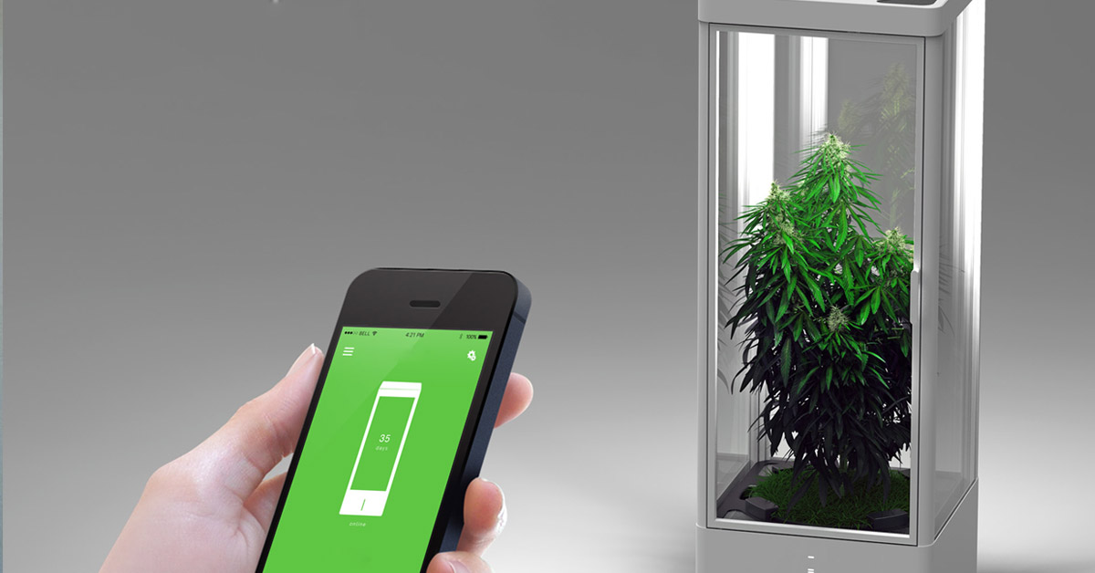 automatyczny growbox