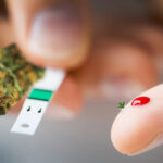 marihuana a cukrzyca