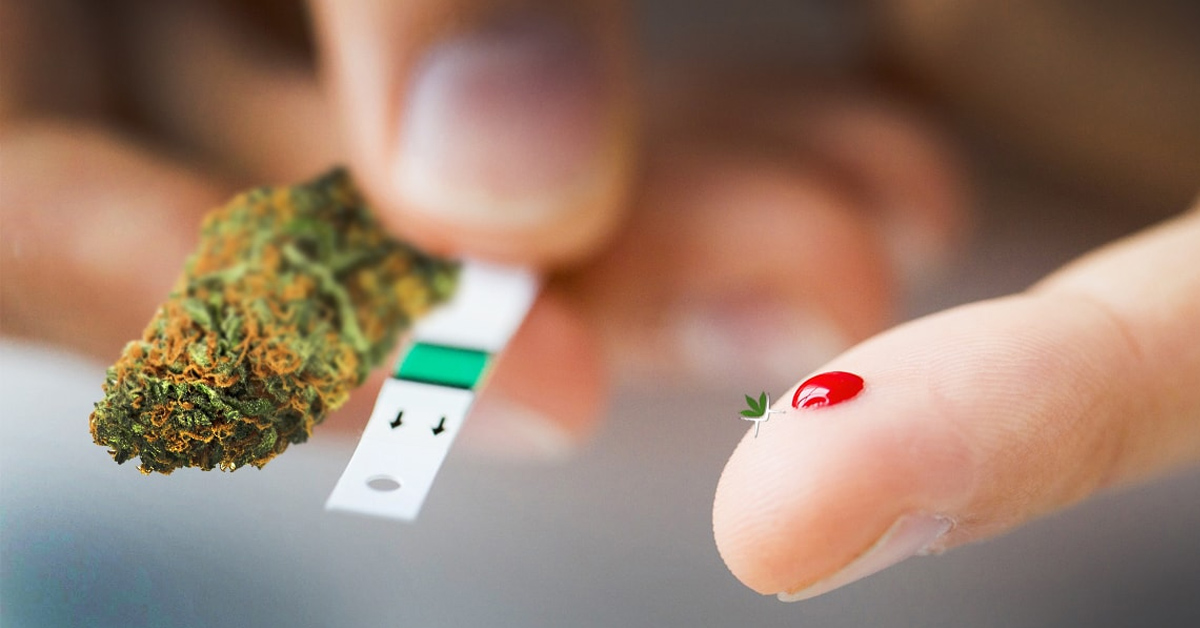 marihuana a cukrzyca