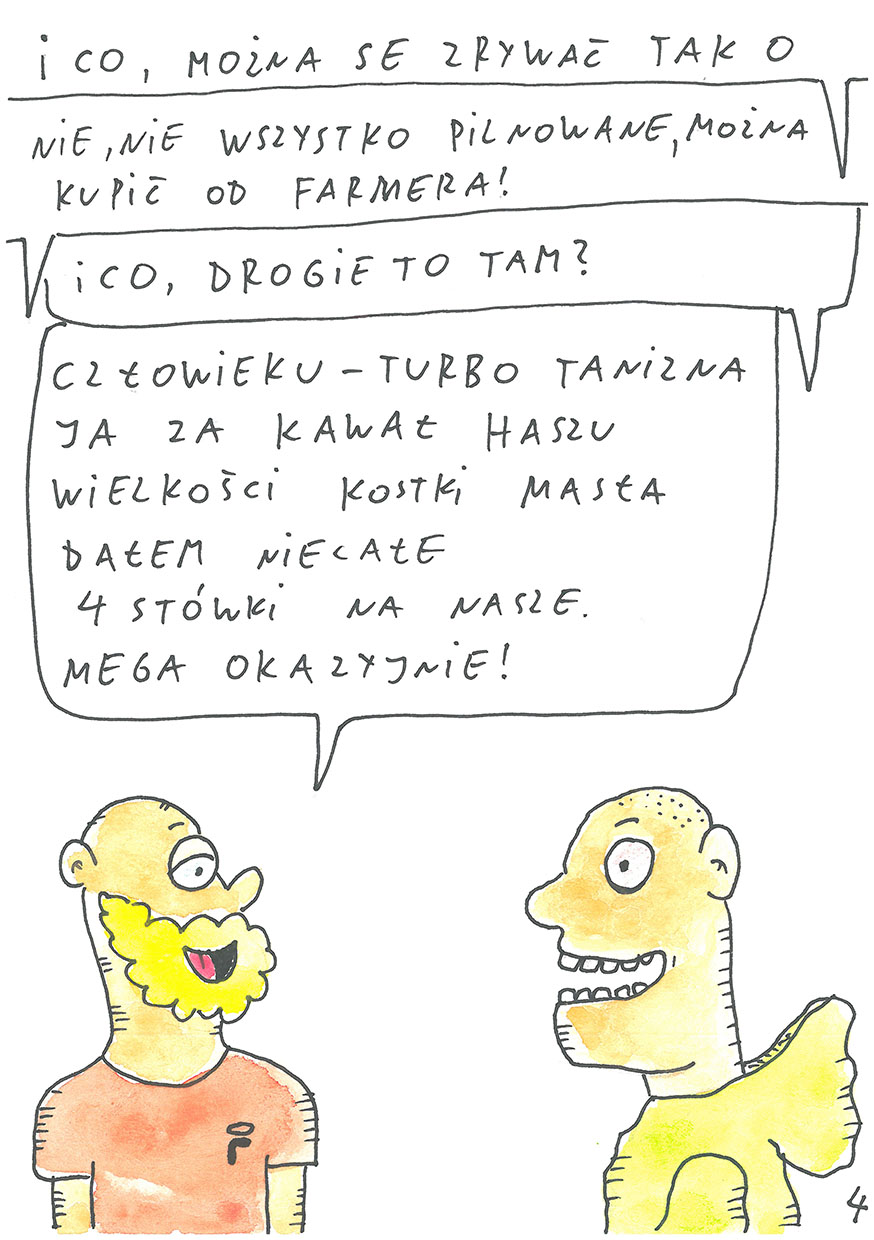 przygody-osiedlowego-dilera-cannabisnews003 kopia