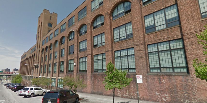 wildcat charter school w Bronxie