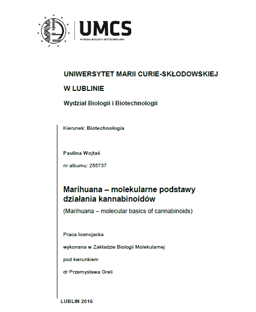 Paulina Wojtys praca mgr