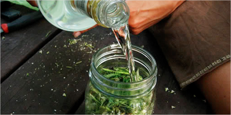 verwende-deine-staengel-10