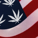 głosowanie nad legalizacją marihuany w USA