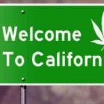 Legalizacja marihuany w Kalifornii