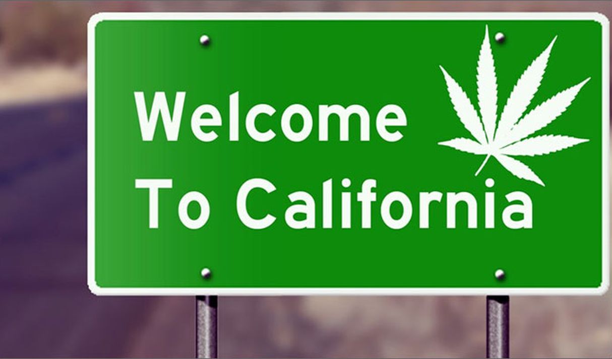Legalizacja marihuany w Kalifornii