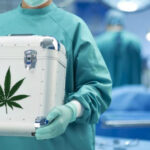 marihuana medyczna przeszczep