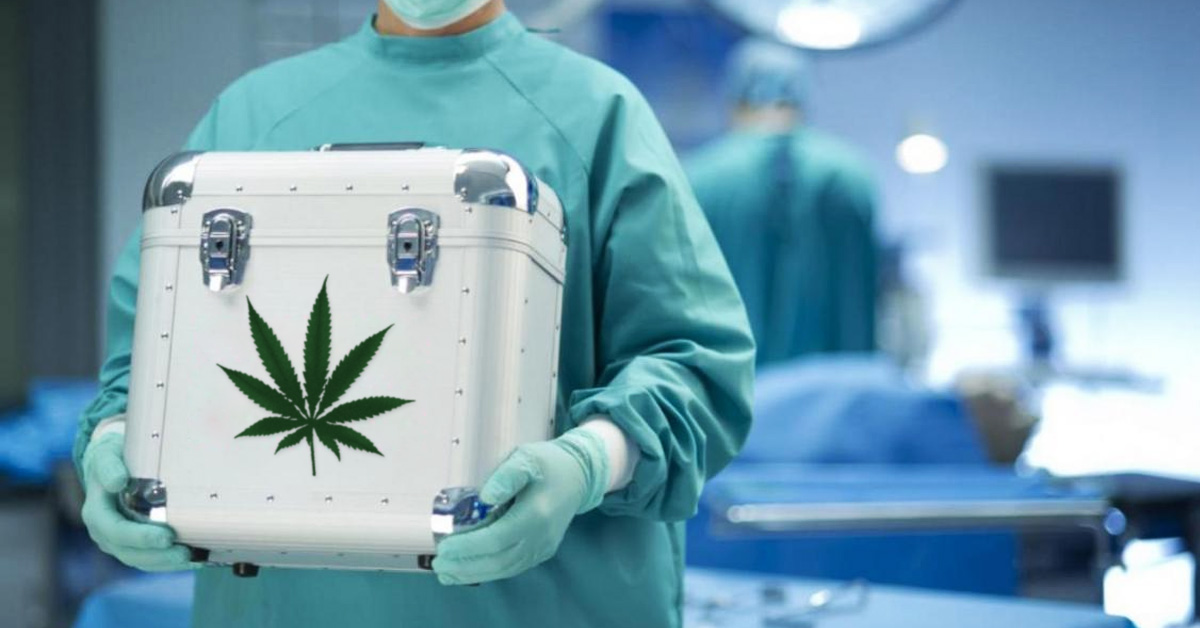 marihuana medyczna przeszczep
