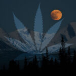 marihuana a widzenie w ciemności