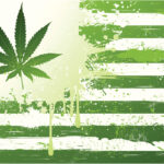 legalizacja marihuany usa