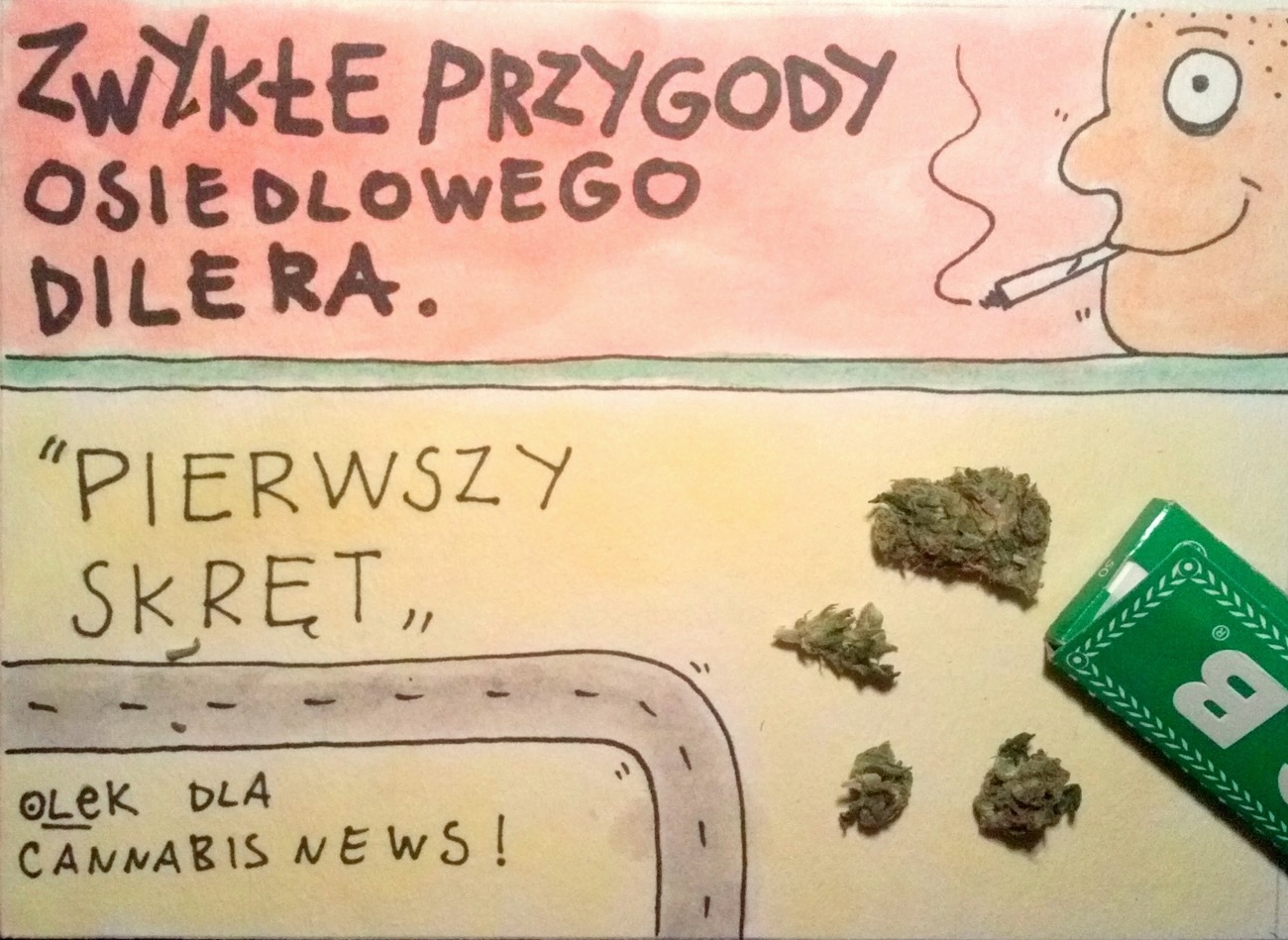 Pierwszy skręt - Zwykłe przygody osiedlowego dilera - Cannabis News
