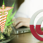 internauci marihuana medyczna