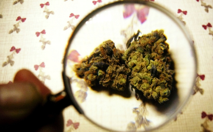 marihuana medyczna układ trawienny