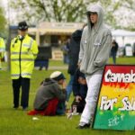 Ile kosztuje marihuana w Wielkiej Brytanii?