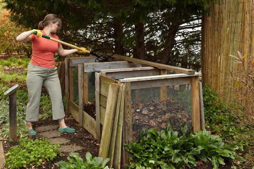 Matka zniszczyła uprawę marihuany 26-latka z Zawidzia