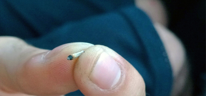 marihuana mikrodozowanie