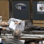 Dyskusja w Parlamencie Europejskim na temat medycznej marihuany