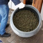 Najbardziej profesjonalna uprawa haszyszu w Polsce