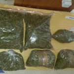 Najbardziej profesjonalna uprawa haszyszu w Polsce