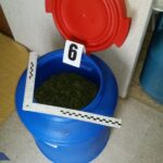 Najbardziej profesjonalna uprawa haszyszu w Polsce