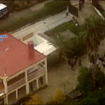 Przemyt marihuany w warzywach