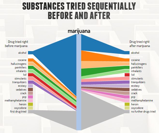 marihuana teoria bramy