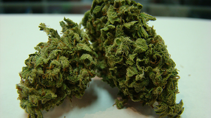 ktore odmiany marihuany rozsmieszaja