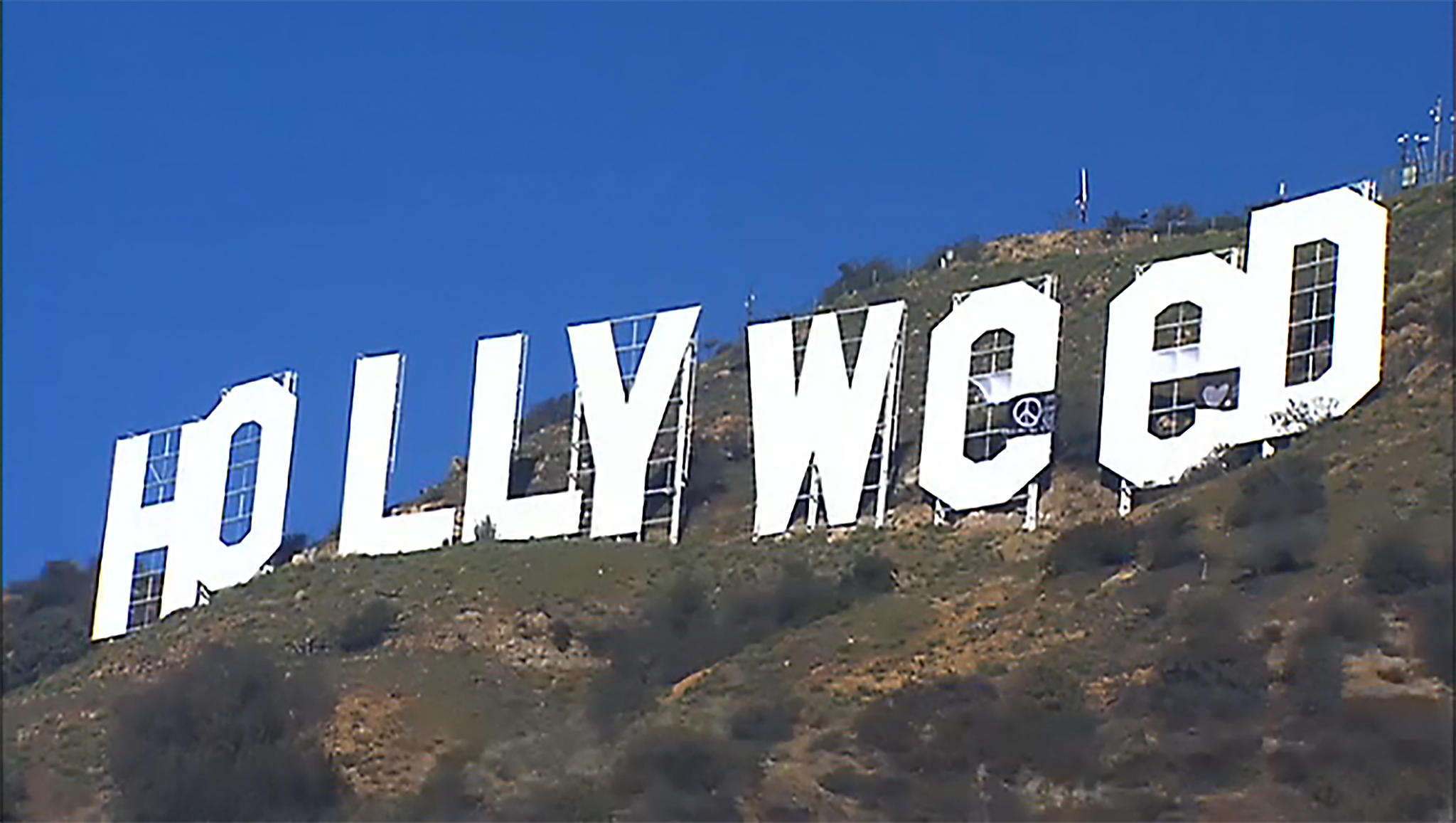 Hollyweed zamiast Hollywood