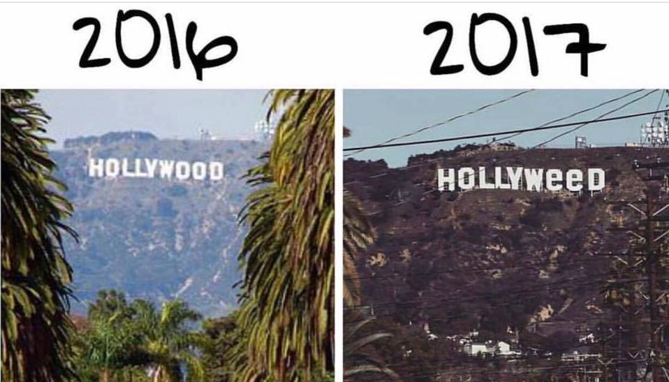 Hollyweed zamiast Hollywood