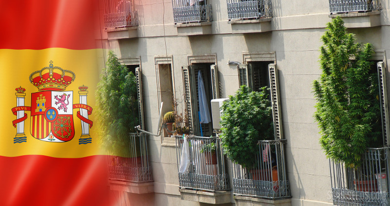 marihuana hiszpania