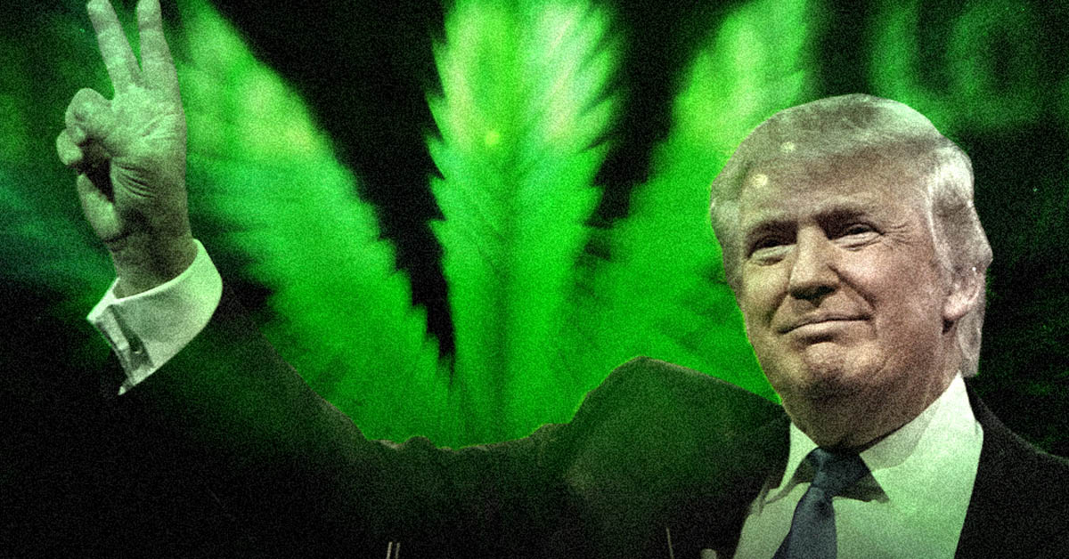 zaprzysiezenie Trumpa trawa