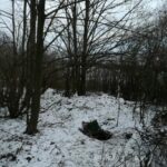 Hodowla marihuany w ziemiance w Rudnej k. Lubina