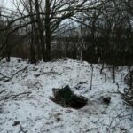 Hodowla marihuany w ziemiance w Rudnej k. Lubina