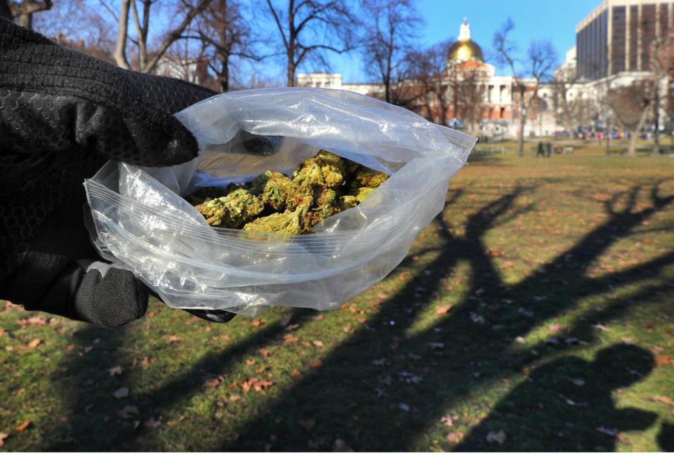 Marihuana w Massachusetts