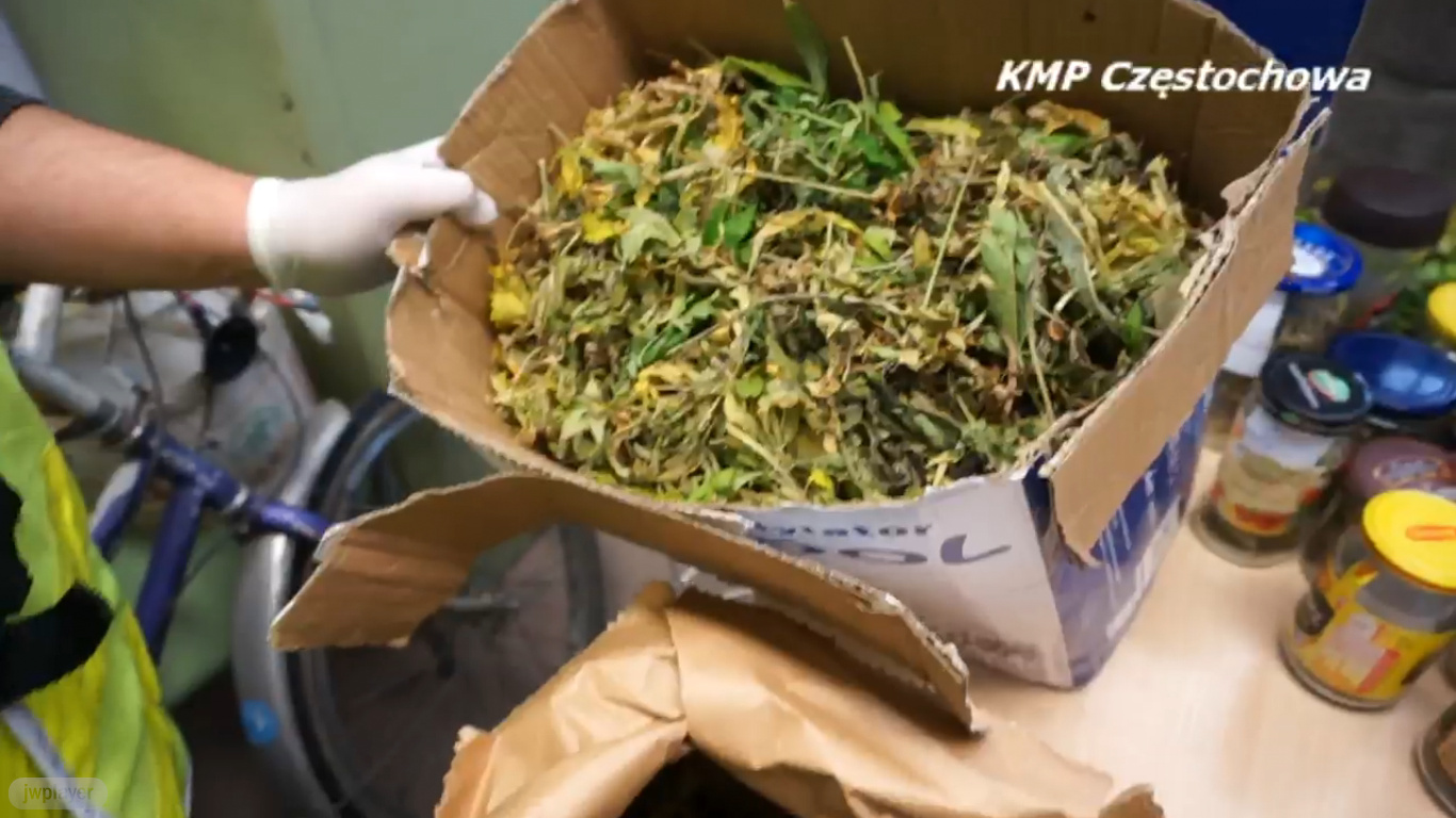 Miał 3,5 kg marihuany, ugryzł policjanta podczas ucieczki