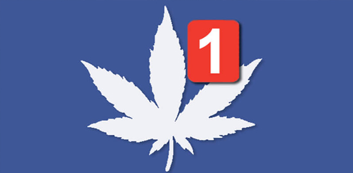 konopne sieci społeczne