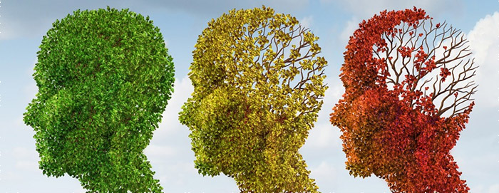 CBD opóźnia starzenie się mózgu