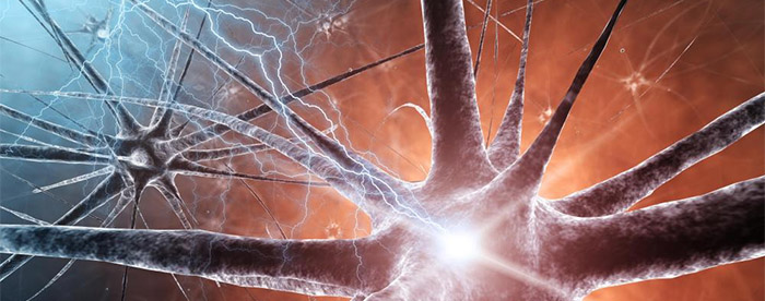 CBD pobudza szare komórki