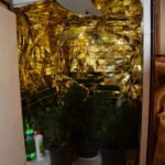 Hodowla marihuany ukryta w szafie