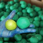 Marihuana ukryta w limonkach