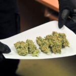 Marihuana w prezencie dla siostry