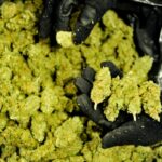 Marihuana w prezencie dla siostry