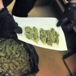 Marihuana w prezencie dla siostry