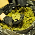 Marihuana w prezencie dla siostry