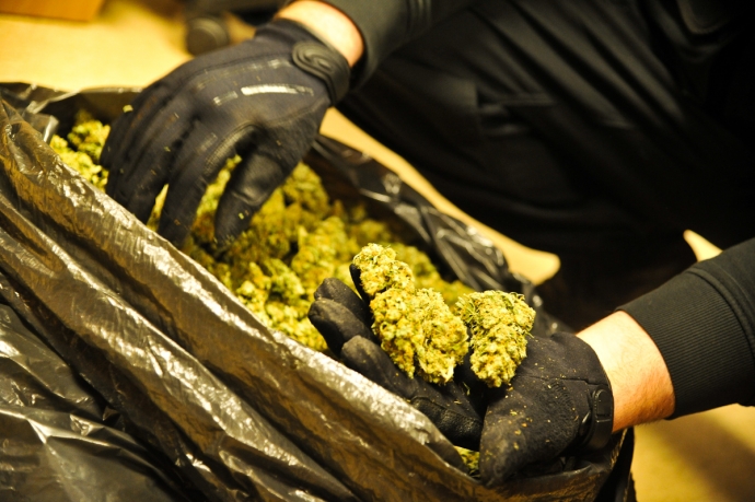 Marihuana w prezencie dla siostry