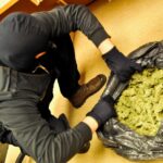 Marihuana w prezencie dla siostry