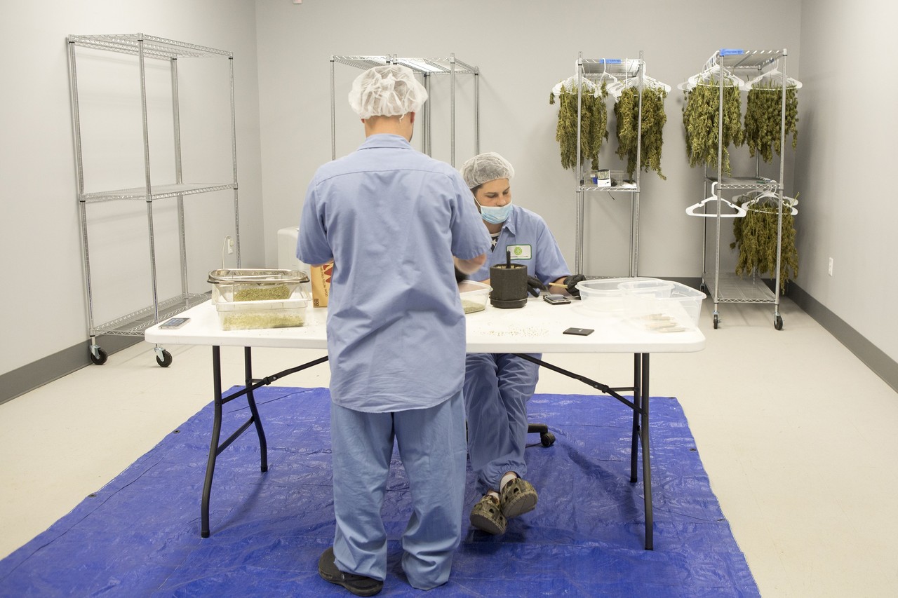 Medyczna marihuana w Polsce