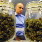 Medyczna marihuana w Polsce