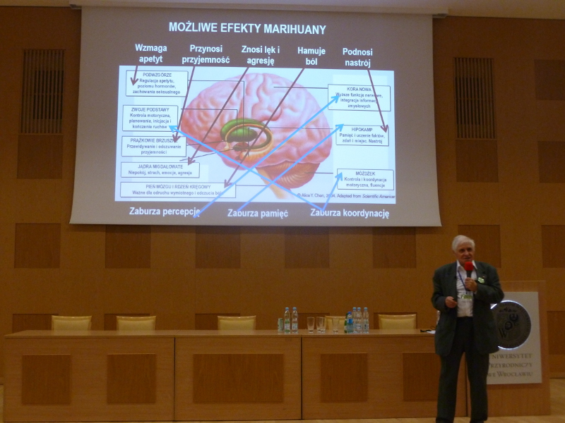 konopie w teorii i praktyce